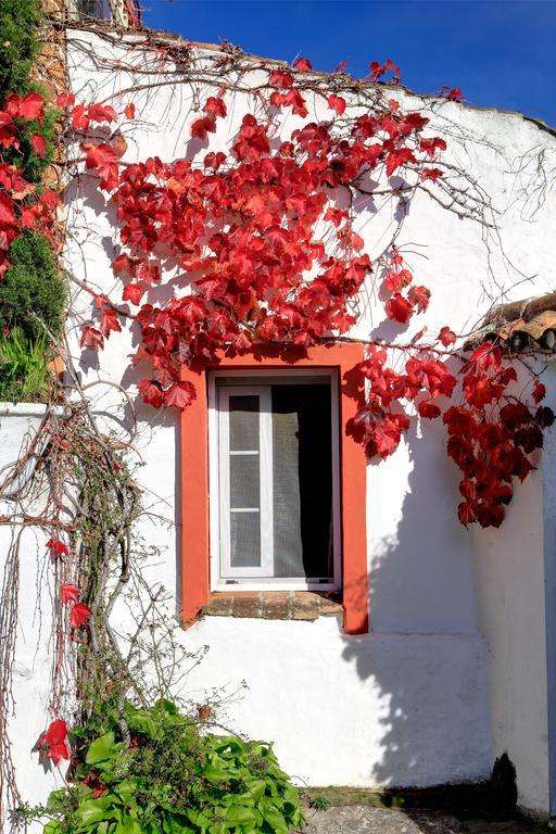 Cortijo La Hoya Affittacamere El Bujeo Esterno foto
